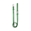 Waterproof Leash, Spring Leaf