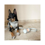 Waterproof Leash, Soft Stone