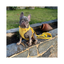 Waterproof Leash, Sunbeam Gold