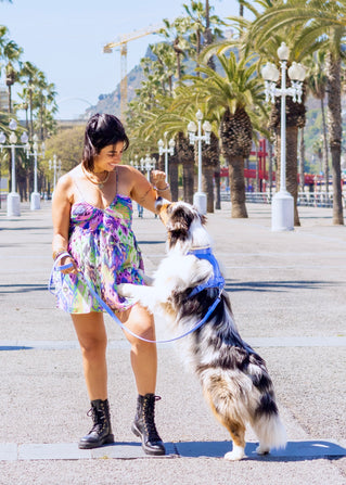 Daydream Blue Dog Poop Bag Dispenser