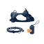 Midnight Sky Dog Harness Walk Set