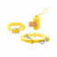 Sunbeam Gold Dog Collar Walk Set