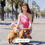 Waterproof Dog Leash