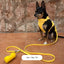 Waterproof Dog Leash