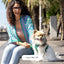 Waterproof Dog Leash