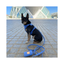 Waterproof Leash, Daydream Blue