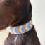 Onni Dog Collar