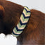 Urho Dog Collar