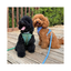 Waterproof Leash, Daydream Blue