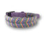 Bimba Dog Collar