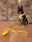 Sunbeam Gold Dog Poop Bag Dispenser