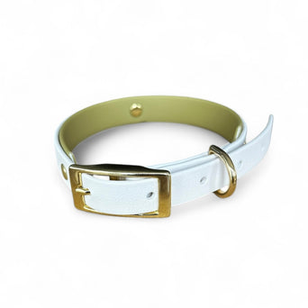 Olivia Dog Collar