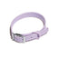Lavender Dream Dog Collar