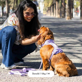 Set de Paseo para Perro con Arnés Lavanda de Sevilla