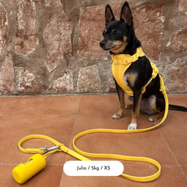 Sunbeam Gold Dog Harness Walk Set